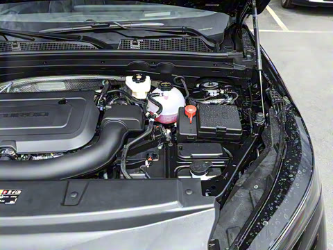 2026�� ������Plus ����Avenir��ά��