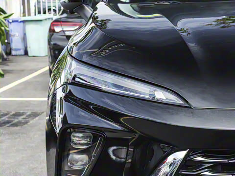 2026�� ������Plus ����Avenir��ά��