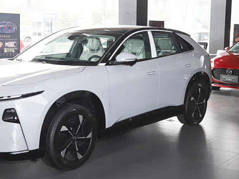 2026�� ����600 Pro