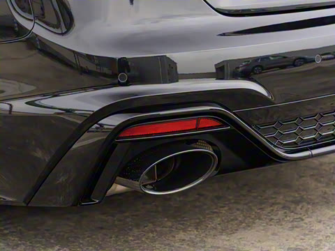 2025�� RS 5 2.9T Sportback ȼ���