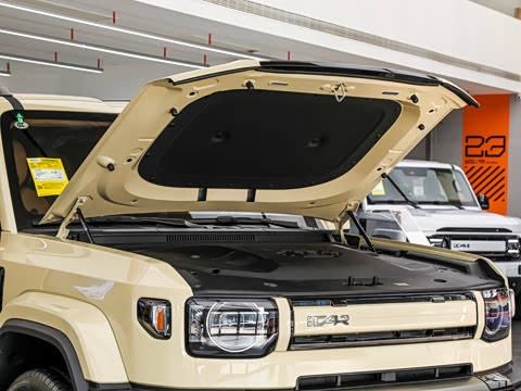 2026�� 200KM������ӥ500