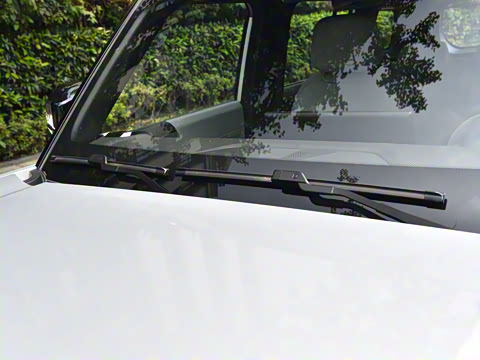 2025�� 520���а�