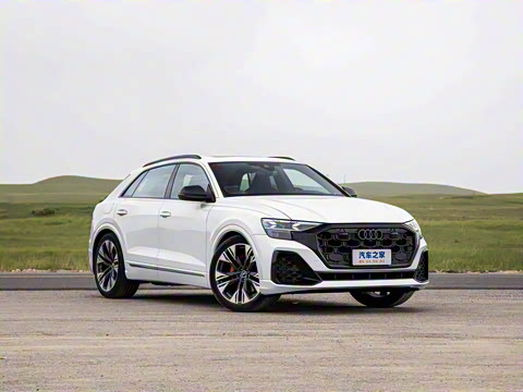 2024�� 55 TFSI ����������