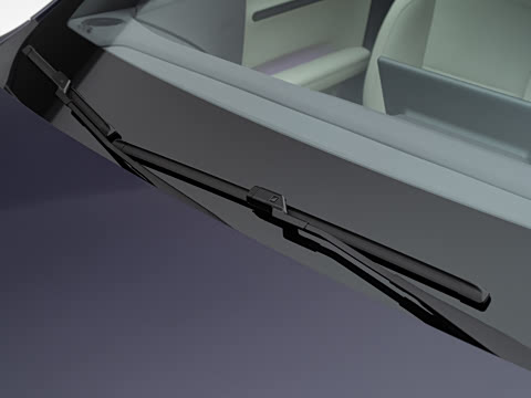 2026�� Max ˫������̰�