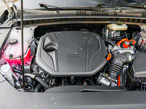 2026�� 125km�ǽ���