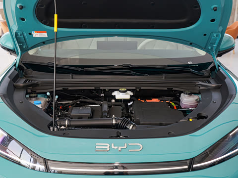 2026�� DM-i 220�Ǻ���