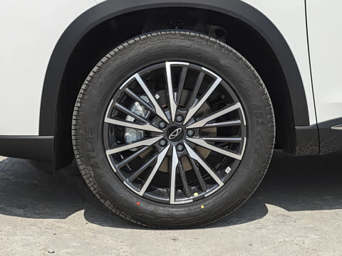 2026�� 290TGDI DCT������ 5��