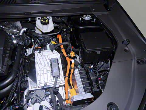 2026�� 220km ������ 5��