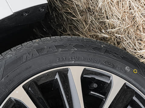 2026�� ����L ���Ͱ� 2.0L ����PLUS��