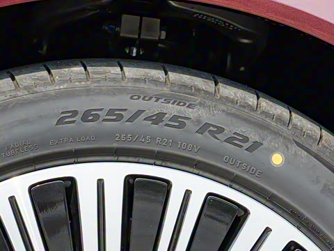 2025�� ���� Max+ ������������ 