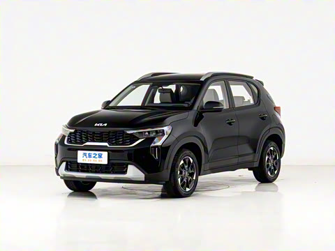 2024�� 1.5L ����������