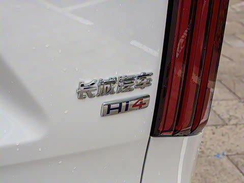 2025�� ������ɽ7