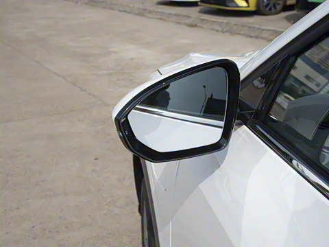 2025�� 565km ������