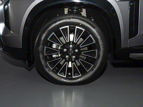 2025�� 205km Pro+�����״��