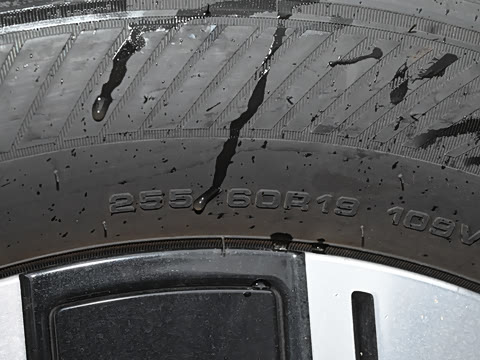 2026�� ��̲�����