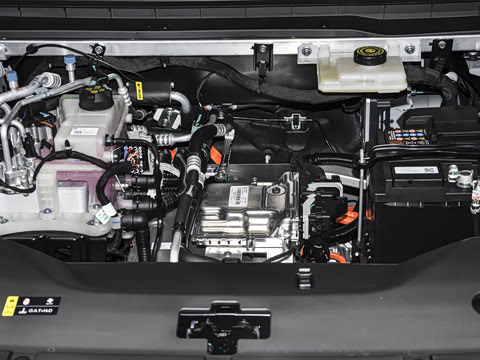 2026�� 520�Ǻ���