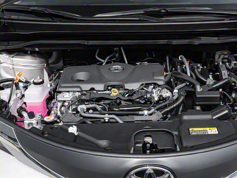 2026�� 2.5L ˫���������ʰ�