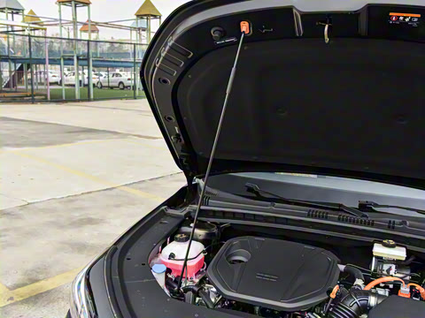 2026�� 125km�ǽ���