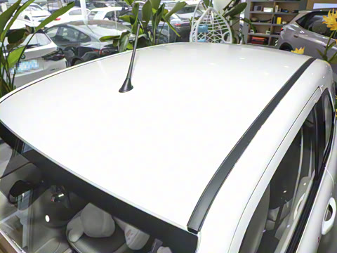 2026�� 222km ������