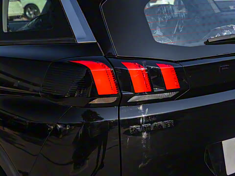 2025�� ������