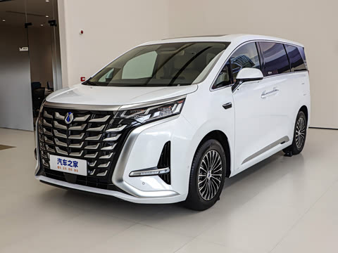 2025�� DM-i ��������