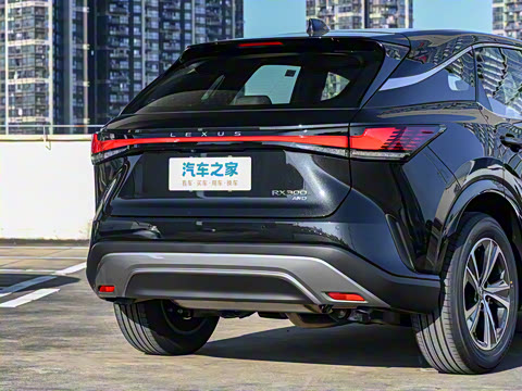 2026�� 300 ����������