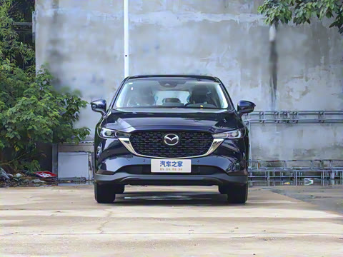 2025�� 2.0L �Զ���������Pro