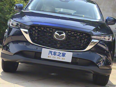 2025�� 2.0L �Զ���������Pro