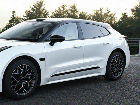 2026��   95������ Max��