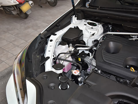 2026�� 200 ��ɫ�޶���