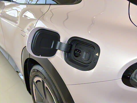 2025�� ������������Pro��