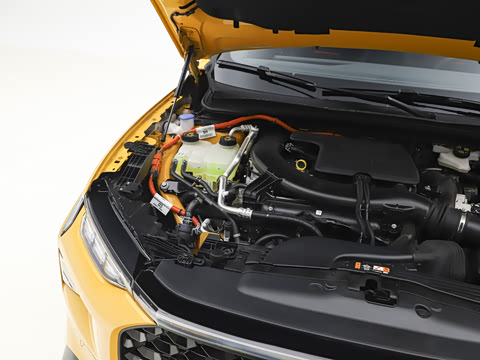 2026�� 2.0T EcoBoost  E �춯  �˶��� ST-Line