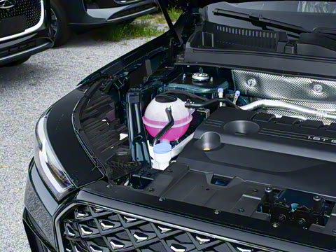 2025�� 290TGDI DCT���ư�