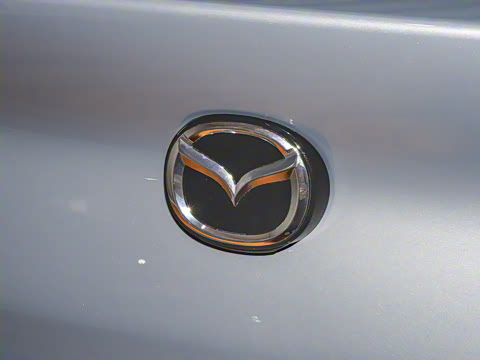 2025�� 2.0L �Զ����Ű�