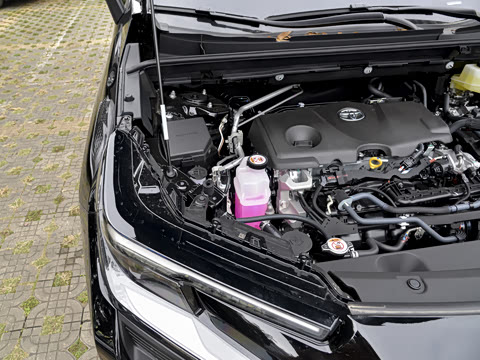 2026�� ˫�� 2.5L ����������