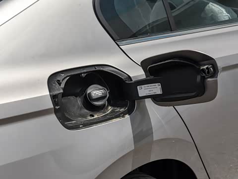 2025�� �Ŀ� 300TSI DSG���а�