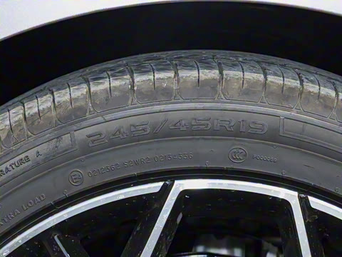 2026�� �����������̰� 310�콢��