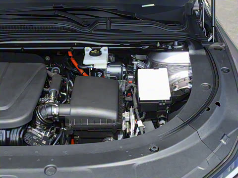 2026�� �����������̰� 310�콢��