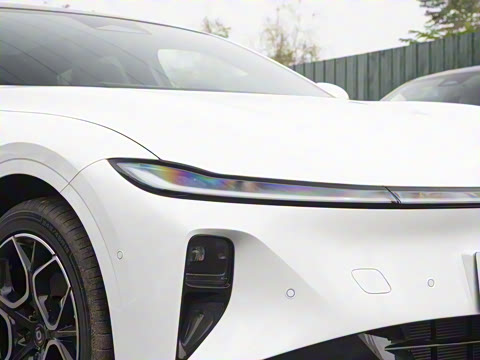 2026�� �����������̰� 310�콢��