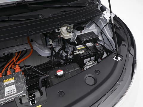 2026�� 445km ������Ӫ�˰�