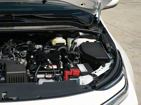 2026�� 1.8L ˫�� ��Ӣ��