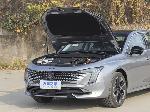 2025�� �Ŀ� 508L 400THP Ԧ���콢��