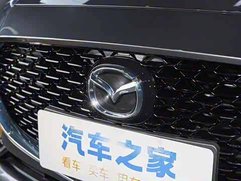 2025�� 2.0L �Զ����Ű�