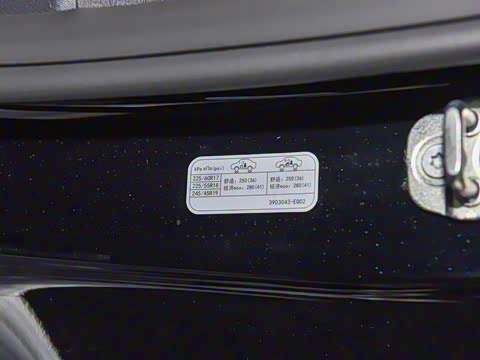 2026�� �����������̰� 310������