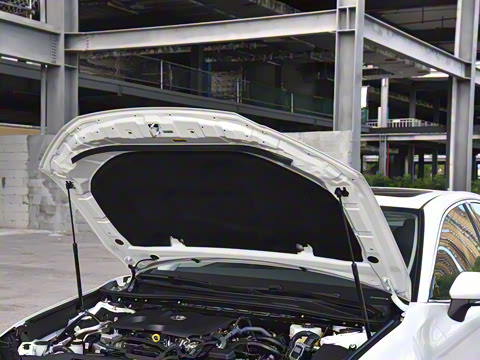 2026�� ˫�� 2.0HGVP ������