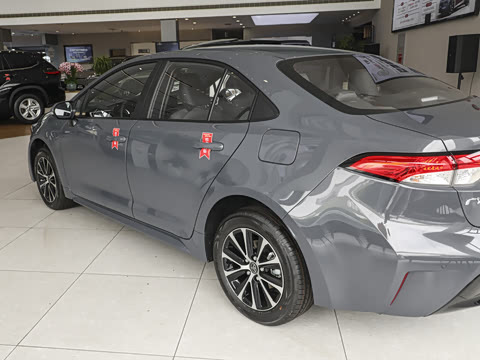 2026�� ����L 185T ������