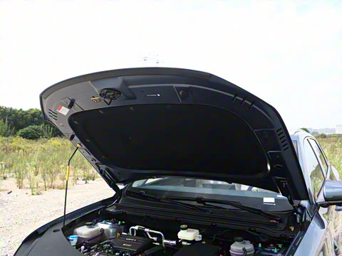 2026�� DM-i 133KM��Խ��