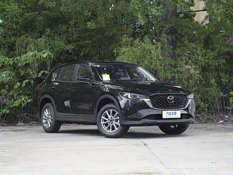 2025�� 2.0L �Զ���������Pro