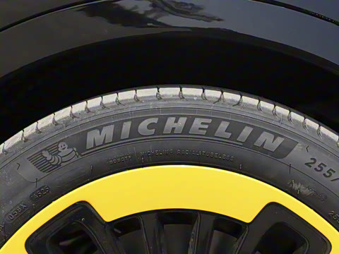 2025�� FREE+ �����˶����ư�