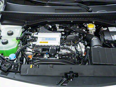 2026�� Ӱ�� 270T ��ȡ��